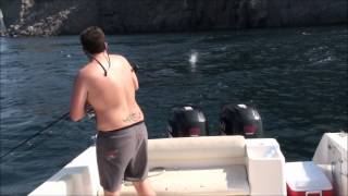 Popping in Khasab Musandam Oman for GT Giant Trevally and Kingfish [upl. by Vogel]