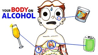 How Alcohol Changes Your Body [upl. by Noyk]