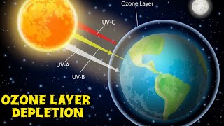 Ozone Layer Depletion Explain Briefly Line By Line Explanation amp Reading। 2024 [upl. by Rida]