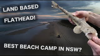 TONS OF FLATHEAD at the BEST BEACH 4WD CAMP IN NSW Pebbly Beach Yaraygir National Park NSW Pt 2 [upl. by Gil]