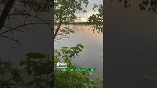 Relax with lite rain and sunset shortsfeed shorts shortvideo relax relaxing rain lake study [upl. by Ymot]