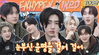 ENJP EP232 ENHYPEN  엔하이픈 3주년 회식 시작 빵빠레 불며 시작 요즘 뱀파이어 특 마늘 잔뜩 먹음🧄 돌박이일 엔하이픈 in 단양 2탄 4K [upl. by Dart]