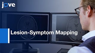 Brain Infarct SegmentationRegistration MRICT LesionSymptom Mapping [upl. by Jorey]