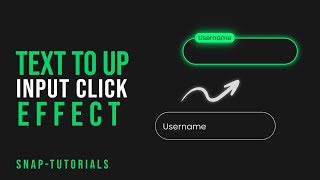 CSS input click Animation  stepbystep [upl. by Milone]