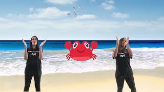 Ocean Jam by Music Movement ♫ Fun Singalong amp Action Songs for Kids ♫ [upl. by Darci]