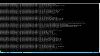 Mulesoft OnPremise Runtime Installation [upl. by Els]