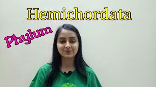 Phylum Hemichordata  Biological classification part 19  Class XILecture 47 [upl. by Noella]