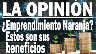 ¿Qué es Emprendimiento Naranja y cuáles son sus beneficios  Director Ricardo Albarracin [upl. by Sabec]