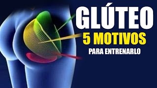 ENTRENAMIENTO GLÚTEOS 5 MOTIVOS PARA SIEMPRE ENTRENAR LOS GLÚTEOS [upl. by Eceined413]