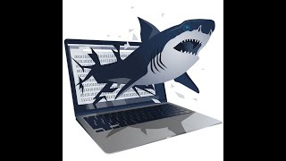 TryHackMe  TShark The Basics  WriteUp [upl. by Akemej599]