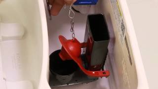 Fix a Running Toilet  How to Replace a Toilet Flapper [upl. by Salvay]