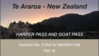 Hurunui No 3 Hut to Hamilton Hut  Te Araroa Part 16 [upl. by Haliled125]