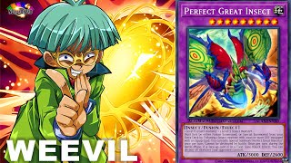 Weevil Deck New Support Perfect Great Insect Yugioh 2022【EDOPRO】 [upl. by Anahcra]