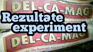 Experiment cu delcamag  rezultate [upl. by Jessee]