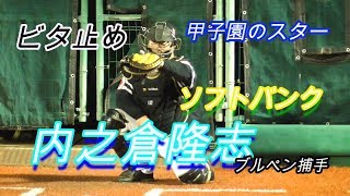 【甲子園を沸かせた】内之倉ブルペン捕手の極上キャッチング！【福岡ソフトバンクホークス】 [upl. by Eiznil]