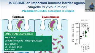 Keynote Lecture at EMBO  EMBL SymposiumInnate immunity in hostpathogen interactions [upl. by Ennahteb]