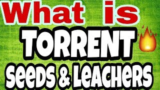 what is SEEDS and LEECHERS  How TORRENT WORKS [upl. by Suedaht648]