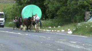 Appleby Horse Fair  Kirky Bank Part 2 [upl. by Hawker]