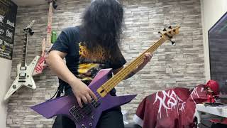 Vektor  Tetrastructural Minds bass cover [upl. by Pyne883]