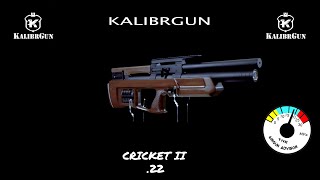 KalibrGun Cricket II [upl. by Eimareg]