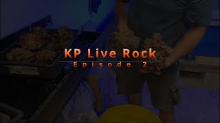 Reef Tank ReBuild With KP Aquatics Live Rock  Episode 2 [upl. by Faux]