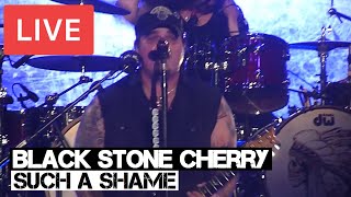 Black Stone Cherry  Such a Shame Live in HD  SSE Wembley Arena  London 2014 [upl. by Demetria184]