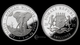 Somalia 100 Schillings 2025  1oz 9999 Ag ST  African Wildlife  ELEPHANT [upl. by Ennahgiel132]