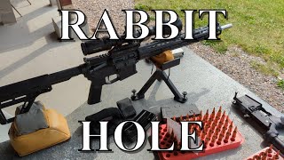 6mm ARC  testing lowers polymer versus billet BCM mk2 versus carbine flat spring [upl. by Drain350]