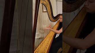 Harp Excerpt from Grandjanys Rhapsodie [upl. by Juni799]