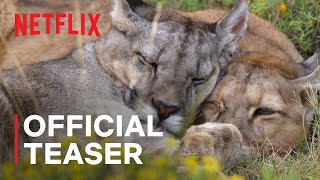 Our Planet II  Official Teaser  Netflix [upl. by Eelarak79]