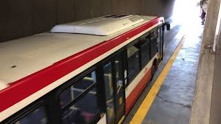 TTC Buses at Warden Station Sept 2021 [upl. by Emile672]