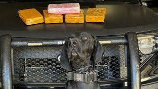 Vail K9 officer credited for 12pound interstate drug bust [upl. by Yziar]