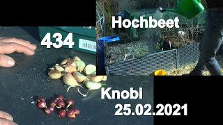 Gartenarbeiten zum Frühling Hochbeete für Knoblauch und Zwiebeln Beete vorbereiten mit Urgesteinsmeh [upl. by Inele]