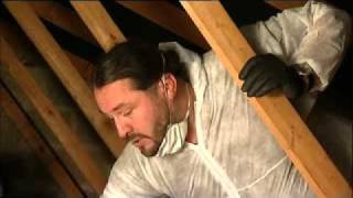 Knauf Insulation  How to Insulate a Loft with Space Insulation [upl. by Elleivap]