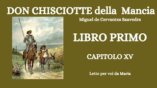 DON CHISCIOTTE DELLA MANCIA di Miguel Cervantes LIBRO PRIMOCAPITOLO 15 [upl. by Adnilreb]