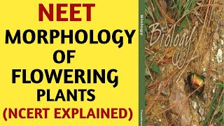 NCERTChapter 5Morphology of Flowering PlantsClass 11Quick Revision SeriesNEETAIIMSBiology [upl. by Chicoine]