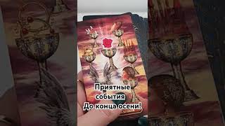 таро гаданиеонлайн прогноз tarot таролог гадание тароонлайн [upl. by Llerad]