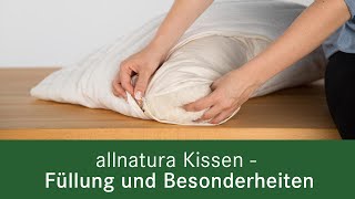 Kissen Überblick  Welche unterschiedlichen Arten und Füllmaterialien gibt es [upl. by Atteirneh687]