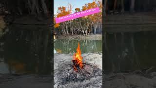 Free camp Murrumbidgee river [upl. by Anuahc]