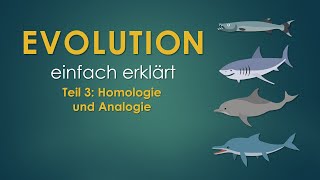 Homologie und Analogie [upl. by Ylagam655]