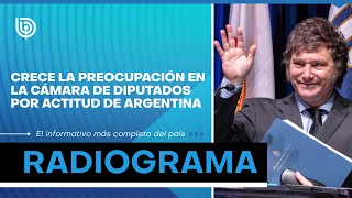 Crece la preocupación en la cámara de diputados por actitud de Argentina [upl. by Shushan92]