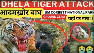 DHELA TIGER ATTACK ‼️Jim Corbett National Park पिंजरा लग गया है Maneater Tiger [upl. by Ziom]