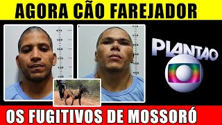 AGORA  Cães Farejadores chegam ao limite  Fugitivos da Penitenciária Mossoró [upl. by Ainolloppa230]