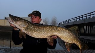 Doodazen op snoek met live aanbeten waterwolf beelden en een dikke metersnoek [upl. by Enyamart444]