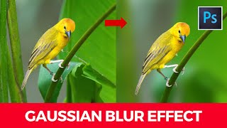 How to use gaussian blur effect in photoshop [upl. by Notaes]