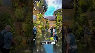 Changi Airport Vibes✈️ Terminal 2😍touristattraction singapore ytshorts youtubeshorts travel [upl. by Mcleod]