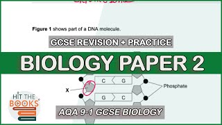 GCSE Biology Paper 2  Exam Questions and Revision [upl. by Efron]