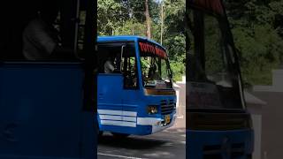 Gavi route കരുണ തോന്നണേSubcribe ചെയ്യണേ youtubeshorts shortvidio shortfeed channel travel [upl. by Valentia]