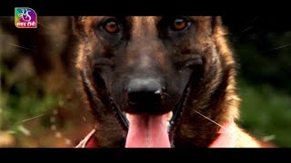 National Security Making of India’s Elite K9 Squad  06 October 2024 [upl. by Vladimir209]