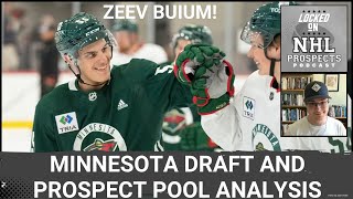 MINNESOTA WILD 2024 DRAFT amp PROSPECT POOL BREAKDOWN  Scouts Analysis [upl. by Eelamme]